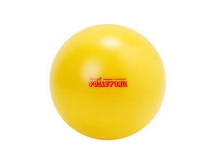 Volleyball_1-440x330
